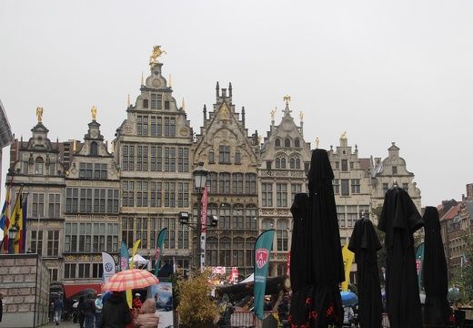 IMG 0202