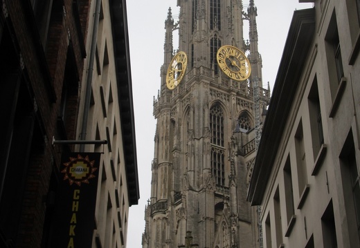 IMG 0208