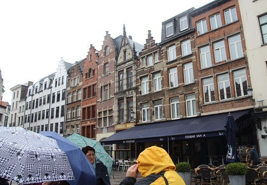 IMG 0212