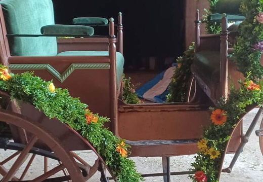 02f1d3c5-2c1f-4295-97e9-0223c3ab6b0e