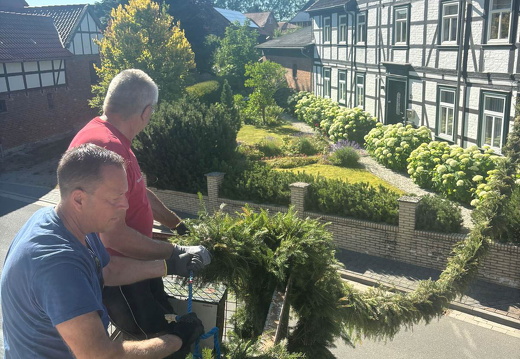 95e71ae3-649a-432a-81e6-86ed0d366c0a