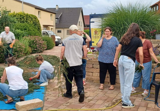 f712ab49-02be-4d95-adcb-07a802f0d59f